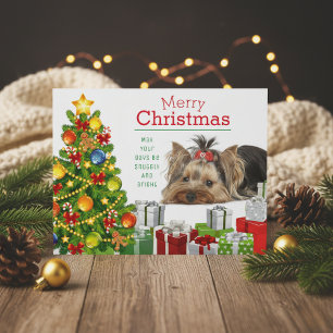 Yorkie Christmas Greeting Holiday Card