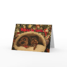 Yorkie Christmas