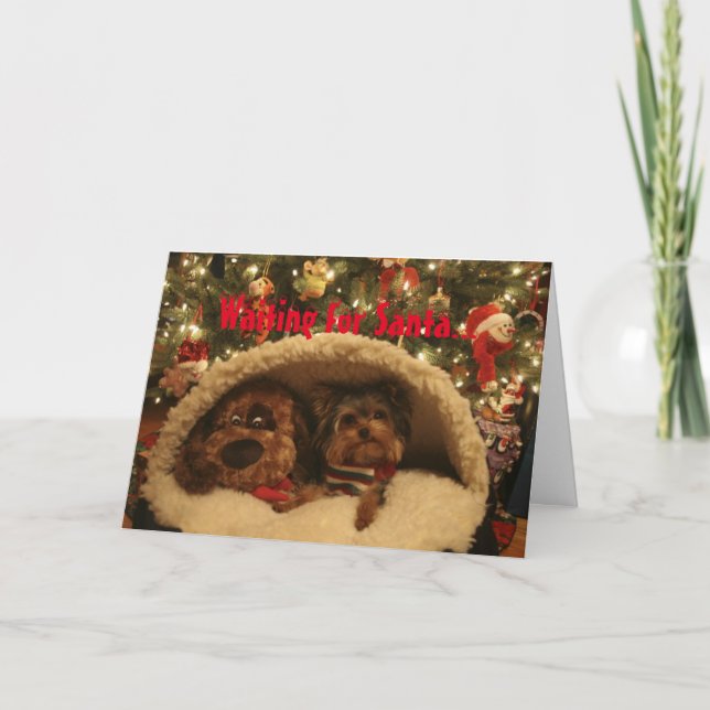 Yorkie Christmas Holiday Card (Front)