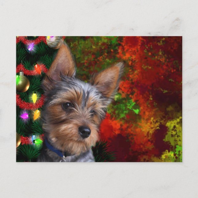 Yorkie Christmas Holiday Postcard (Front)