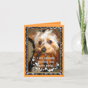 Yorkie Cordial Invite