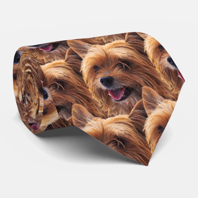 Yorkie Dog Tie (Rolled)
