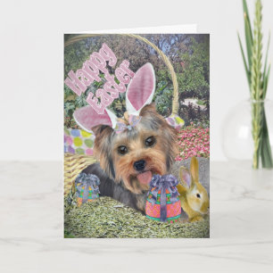Yorkie Easter Egg Hunt Cards