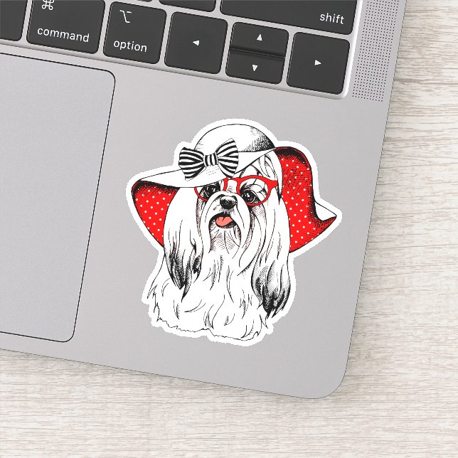 Yorkie Fashion Shoot (Detail)