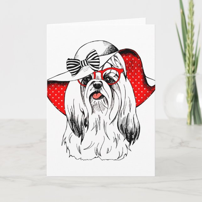 Yorkie Fashion Shoot Card (Front)