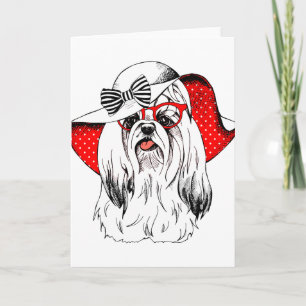 Yorkie Fashion Shoot Card