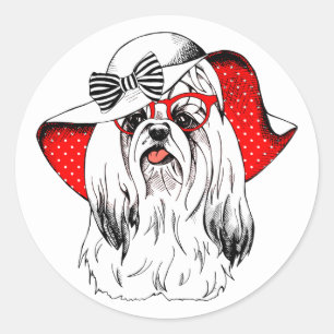 Yorkie Fashion Shoot Classic Round Sticker