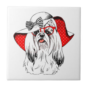 Yorkie Fashion Shoot Tile