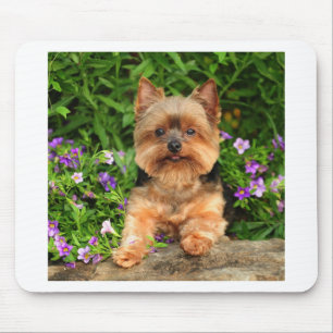 Yorkie flowers mouse mat