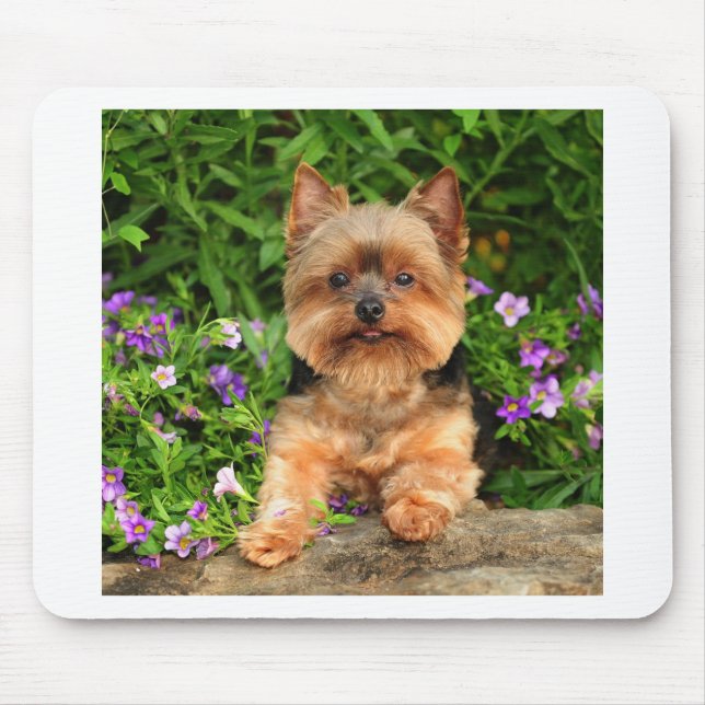 Yorkie flowers mouse mat (Front)