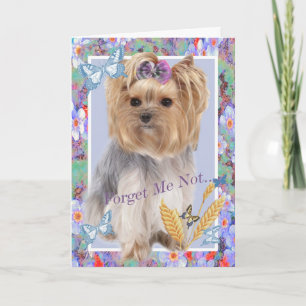 Yorkie Forget Me Not Memorial Card