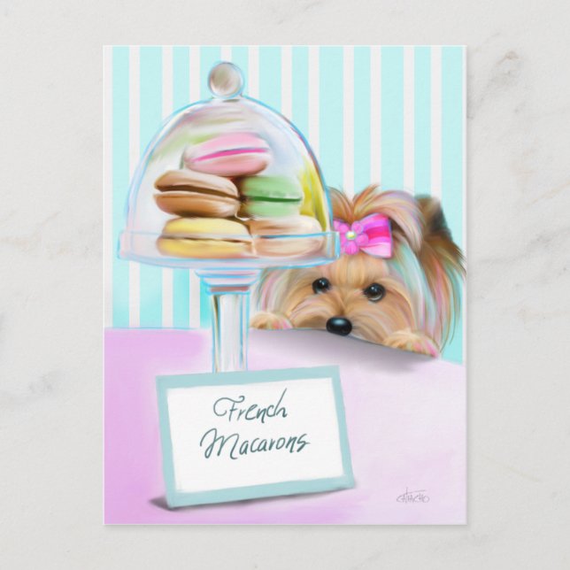 Yorkie French Macarons Postcard (Front)