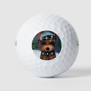 Yorkie        golf balls