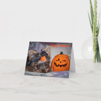 Yorkie Halloween Notecard