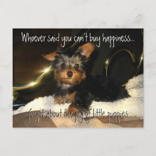 Yorkie Happiness  Customisable Postcard