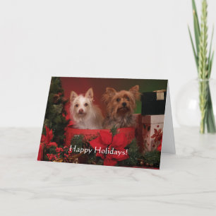 Yorkie Holiday Greeting Cards