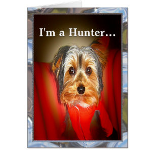 Yorkie Hunter  Customisable