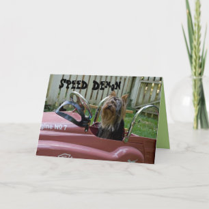 Yorkie in Car Birthday Card