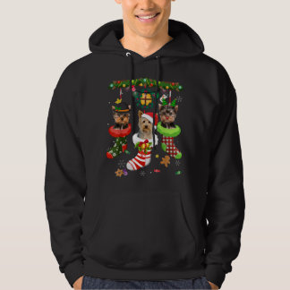 Yorkie In Socks Christmas Santa Hat Xmas Lights Do Hoodie