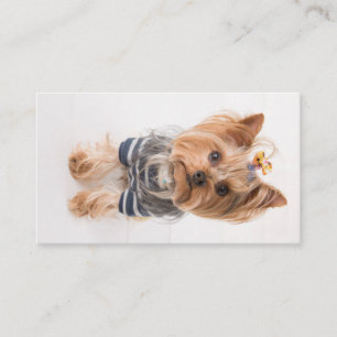 yorkie-in sweater business card