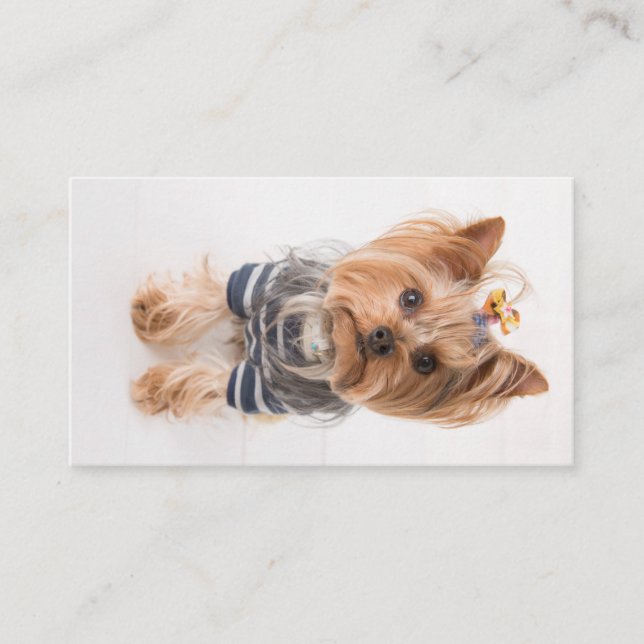 yorkie-in sweater business card (Front)
