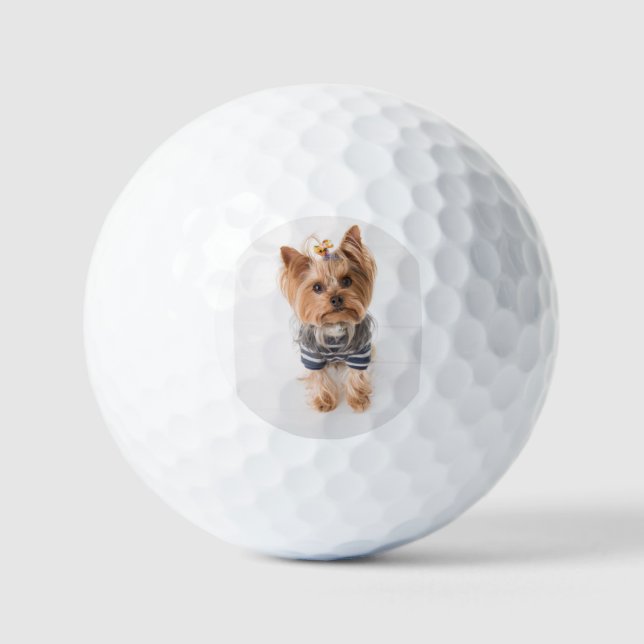 yorkie-in sweater golf balls (Front)