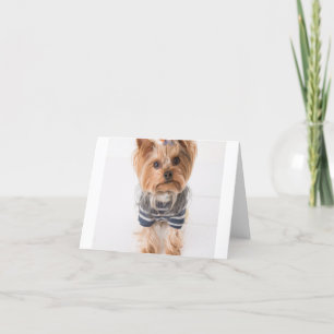 yorkie-in sweater thank you card