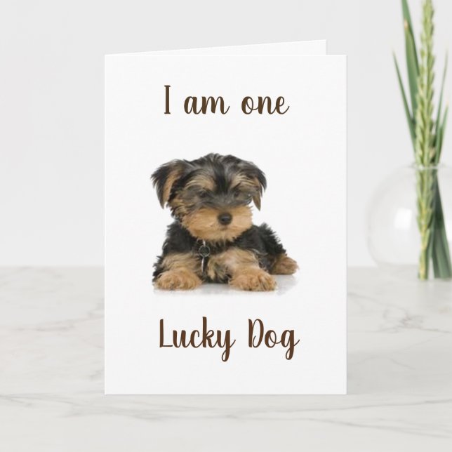 "YORKIE IS ONE LUCKY DOG" BIRTHDAY WISHES CARD (Front)