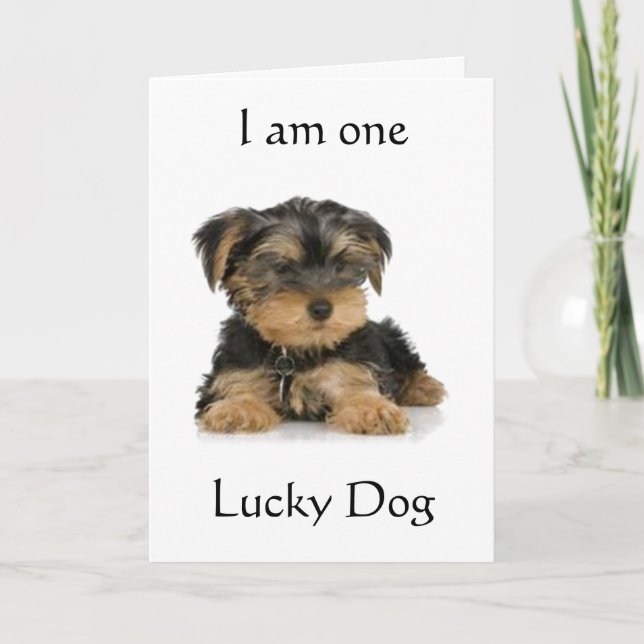 "YORKIE IS ONE LUCKY DOG" BIRTHDAY WISHES CARD (Front)