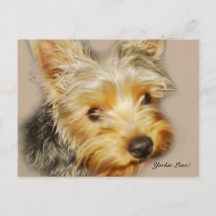 Yorkie Love Postcard