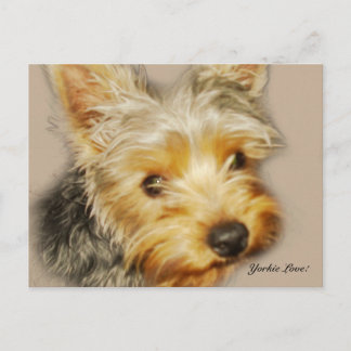 Yorkie Love Postcard