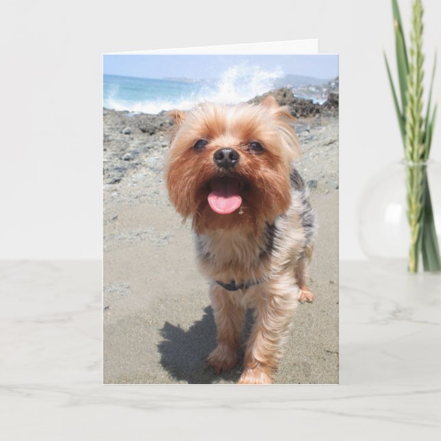 yorkie misses you card (Front)