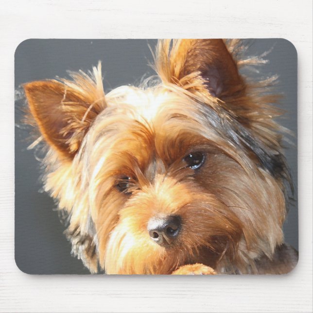 yorkie mouse mat (Front)