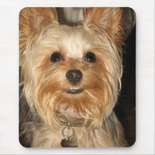 yorkie mouse mat
