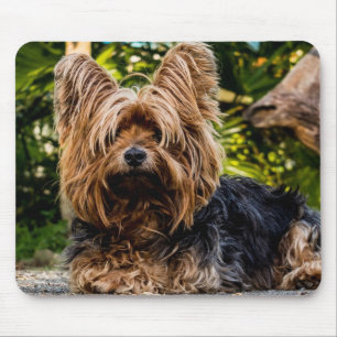 Yorkie Mouse Mat