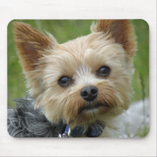 Yorkie Mouse Mat