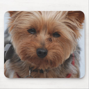 Yorkie  Mouse Pad
