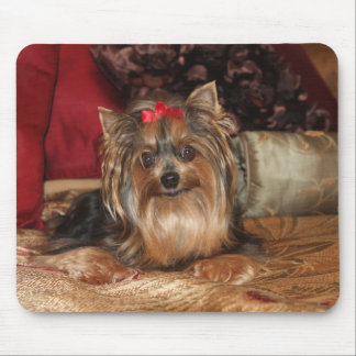Yorkie Mouse Pad