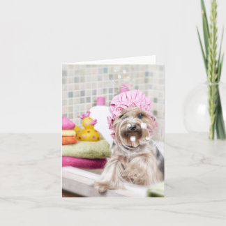Yorkie Note Card