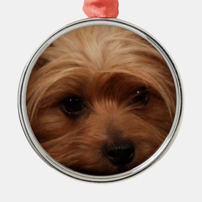 Yorkie or Your Dog Picture Christmas Metal Tree Decoration (Front)