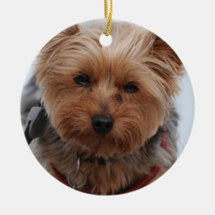 Yorkie Ornament