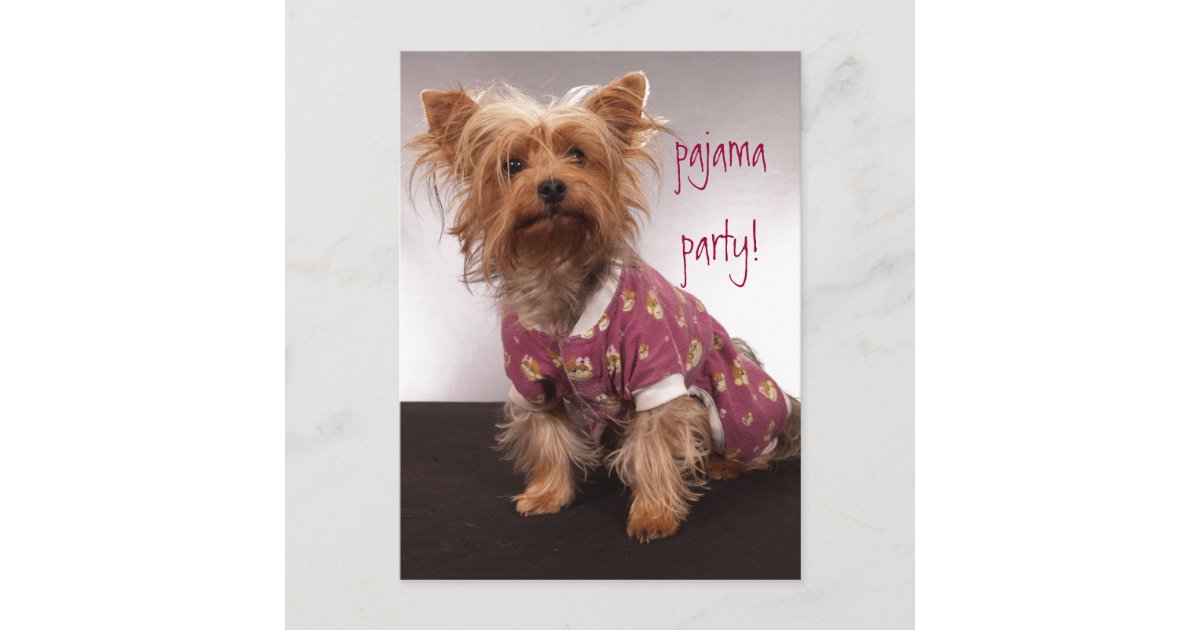 Yorkie Pajama Party Invitation Postcard | Zazzle