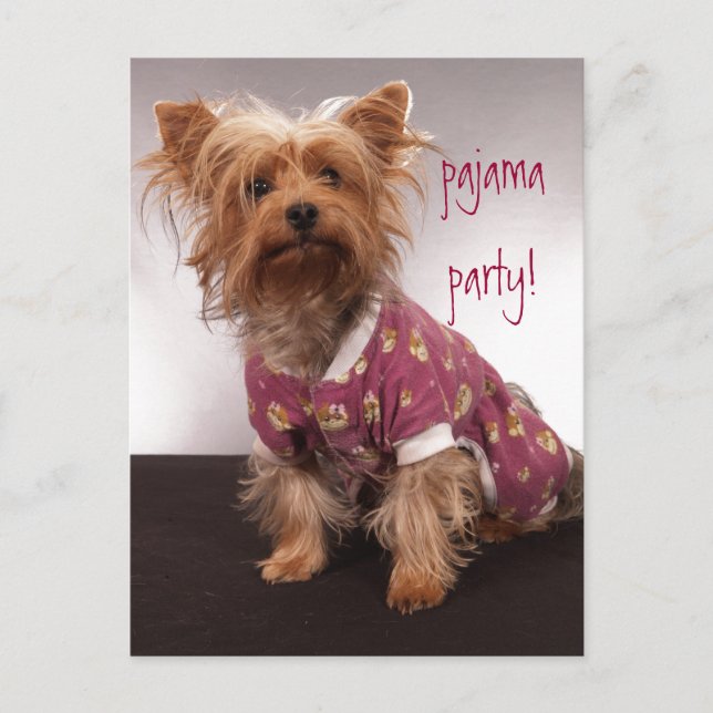 Yorkie Pajama Party Invitation Postcard (Front)