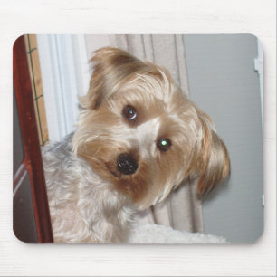 Yorkie Peeking Around the Corner Mouse Mat