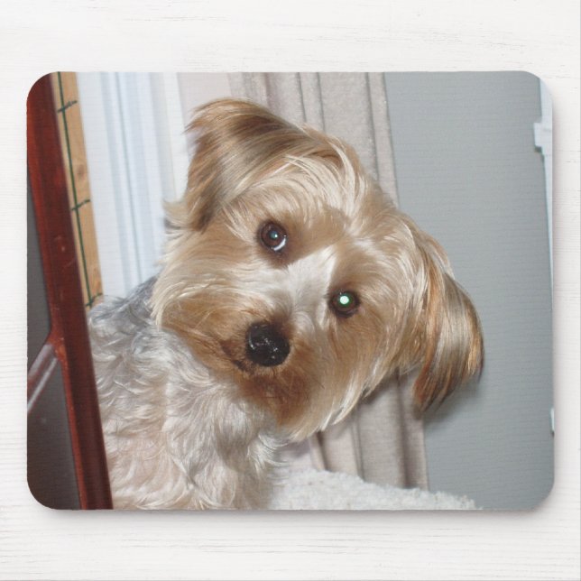 Yorkie Peeking Around the Corner Mouse Mat (Front)