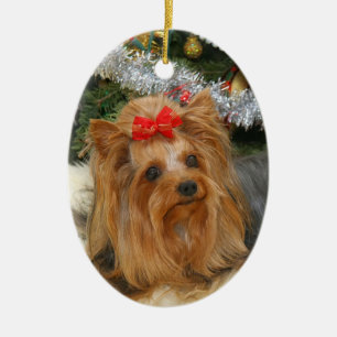 Yorkie Photo Christmas Ornament