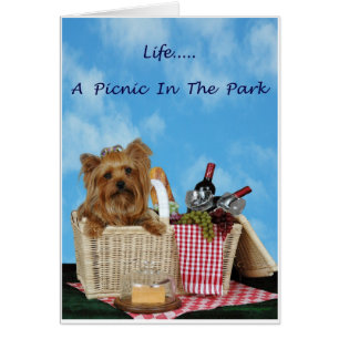 Yorkie  Picnic Basket