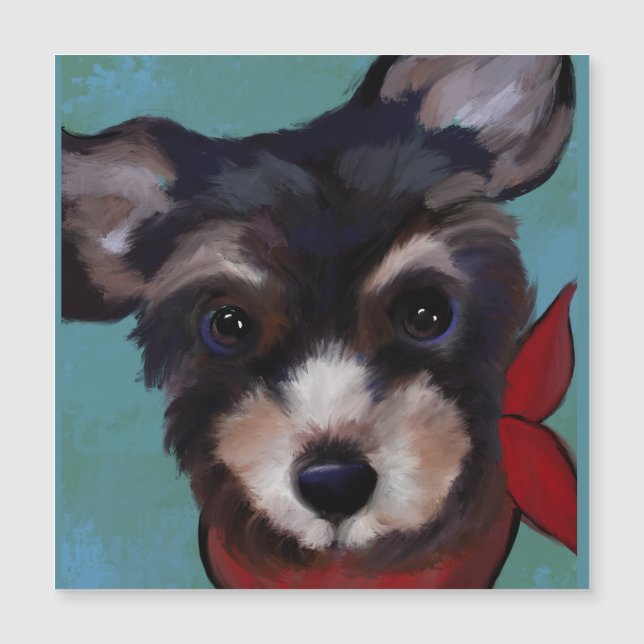 Yorkie Poo   (Front)