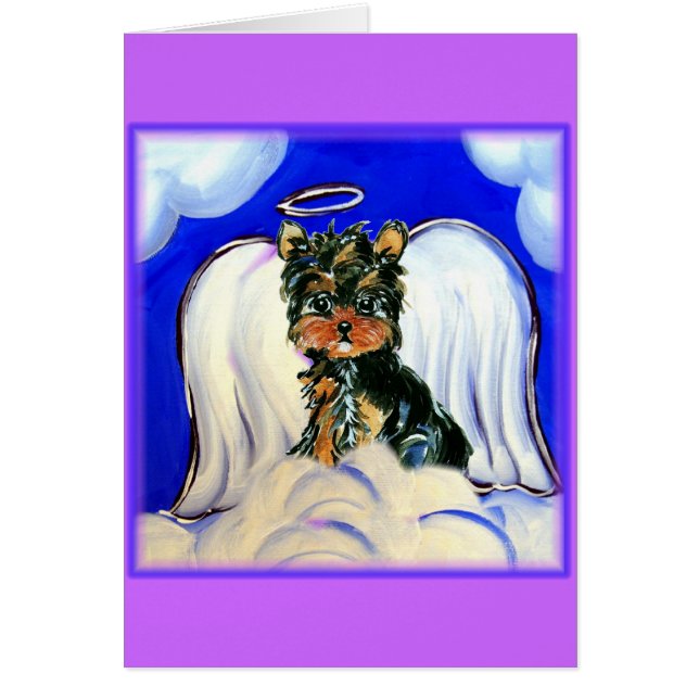 Yorkie Poo Angel (Front)