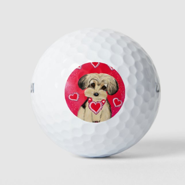 YORKIE POO GOLF BALLS (Front)